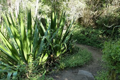 Dans le cirque de Cilaos