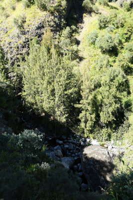 Dans le cirque de Cilaos