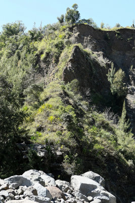 Dans le cirque de Cilaos