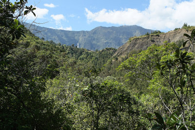 Dans le cirque de Cilaos