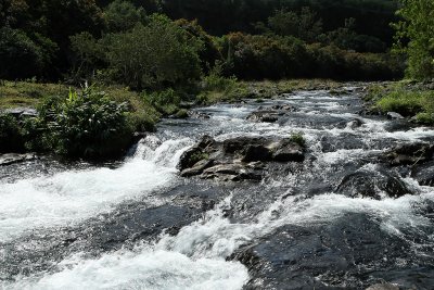 ile de la Runion - Le long de la rivire Langevin