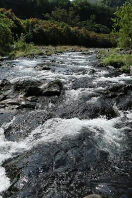 ile de la Runion - Le long de la rivire Langevin