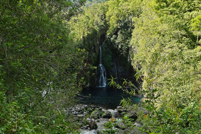 ile de la Runion - Le long de la rivire Langevin