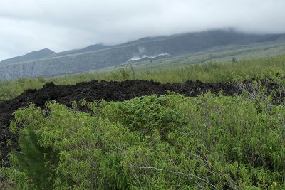 Ile de la Réunion - Coulée de lave plus ancienne, sans doute de 2002