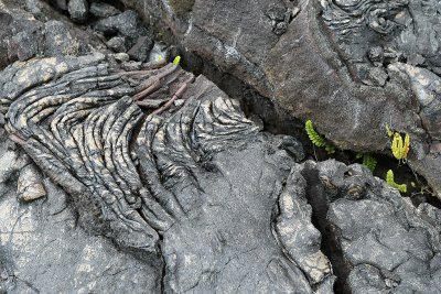 Ile de la Réunion - Sur la coulée de lave de 2001, sur laquelle on peut voir les plus belles laves cordées