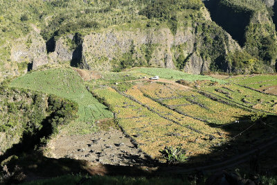 Dans le cirque de Cilaos
