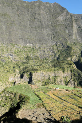 Dans le cirque de Cilaos