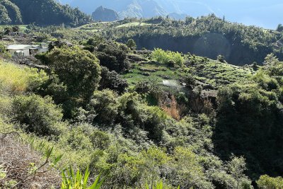 Dans le cirque de Cilaos