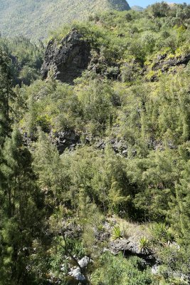 Dans le cirque de Cilaos