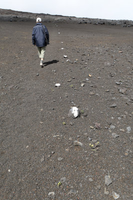 La Plaine des Sables prs du Piton de la Fournaise