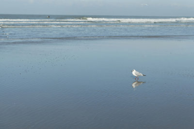 Photo 15 des 6 heures de Berck 2008.jpg