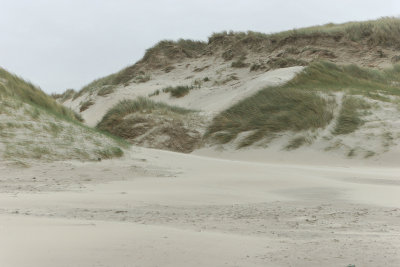 Sur la plage de Berck le week-end des 6 heures de Berck 2008