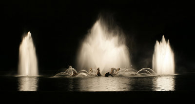 Les Grandes Eaux Nocturnes du chteau de Versailles