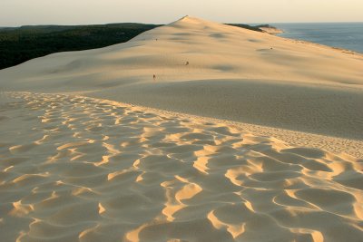 Dcouverte de la dune du Pyla situe  l'embouchure du Bassin d'Arcachon