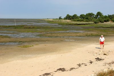 Dcouverte du Bassin d'Arcachon