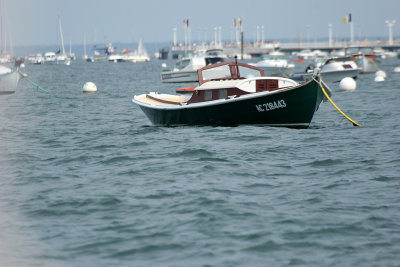 Tour du Bassin d'Arcachon et dcouverte de l'le aux Oiseaux en bateau  bord du Margat