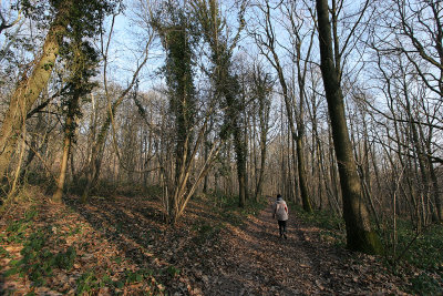 Promenade hivernale sur les buttes de Rosne