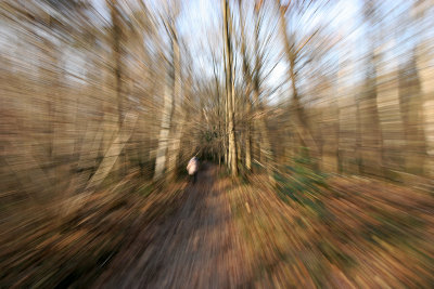 Promenade hivernale sur les buttes de Rosne