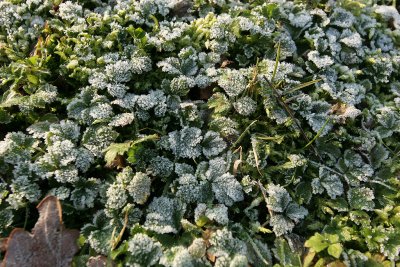 Promenade hivernale sur les buttes de Rosne