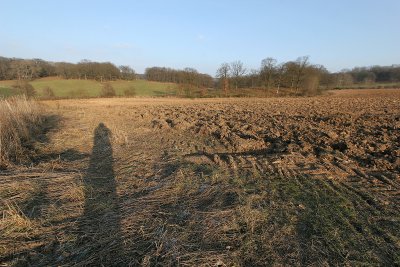 Promenade hivernale sur les buttes de Rosne