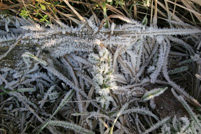 Promenade hivernale sur les buttes de Rosne