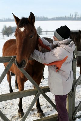 Randonne dans la campagne enneige prs de Magny-en-Vexin