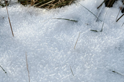 Randonne dans la campagne enneige prs de Magny-en-Vexin