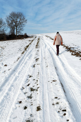 Randonne dans la campagne enneige prs de Magny-en-Vexin