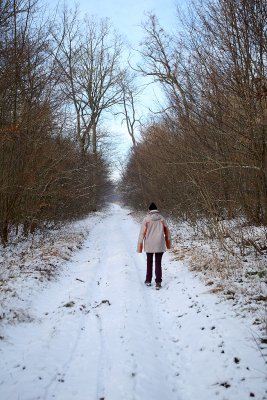 Randonne dans la campagne enneige prs de Magny-en-Vexin