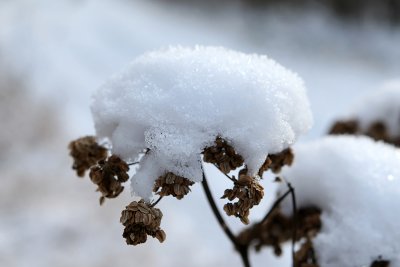 Randonne dans la campagne enneige prs de Magny-en-Vexin