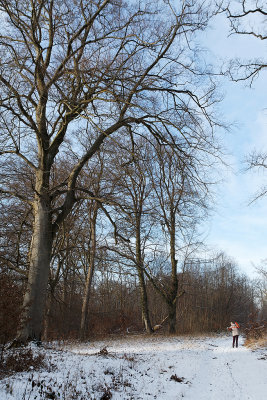 Randonne dans la campagne enneige prs de Magny-en-Vexin