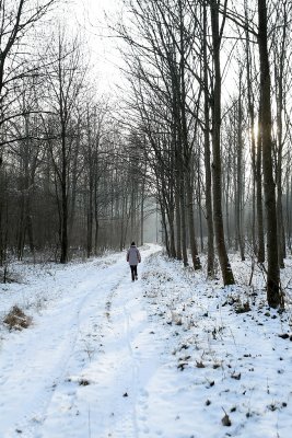 Randonne dans la campagne enneige prs de Magny-en-Vexin