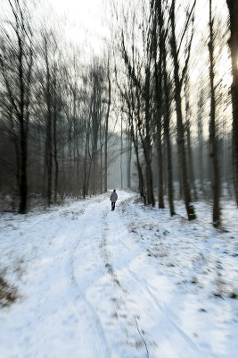 Randonne dans la campagne enneige prs de Magny-en-Vexin