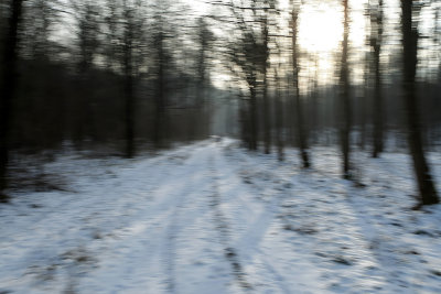 Randonne dans la campagne enneige prs de Magny-en-Vexin