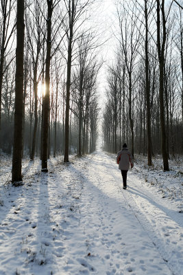 Randonne dans la campagne enneige prs de Magny-en-Vexin