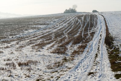 Randonne dans la campagne enneige prs de Magny-en-Vexin