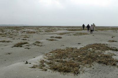 Dcouverte de la baie de Somme avec un guide naturaliste