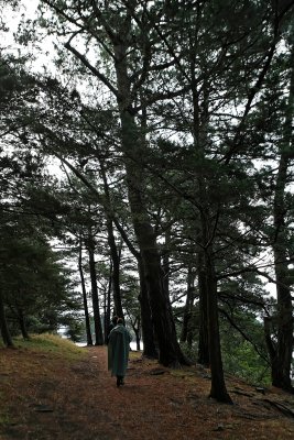g1/09/515909/3/110920145.FYtNM0p0.jpg