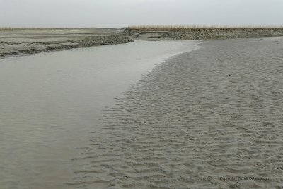 g1/09/515909/3/110920495.SS0h4bsr.jpg