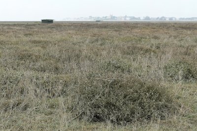 g1/09/515909/3/110920524.YLjlYdRO.jpg