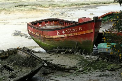 Le cimetire de bateaux de la rivire du Bono - MK3_9748 DxO Pbase.jpg