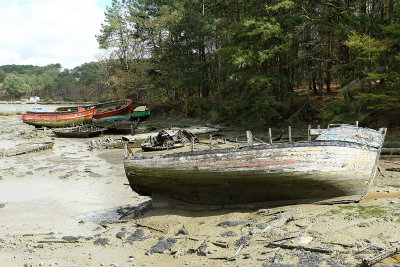 Le cimetire de bateaux de la rivire du Bono - MK3_9761 DxO Pbase.jpg