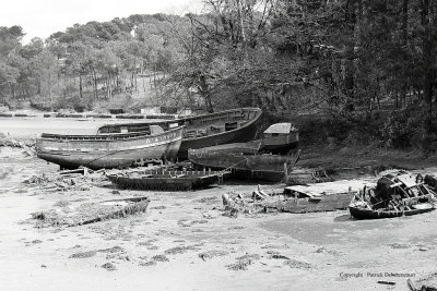 Le cimetire de bateaux de la rivire du Bono - MK3_9764 DxO Pbase.jpg