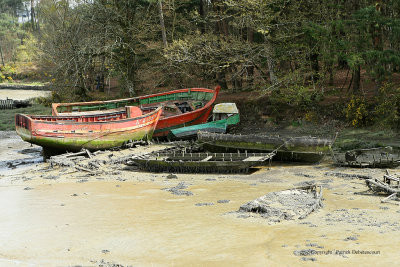 Le cimetire de bateaux de la rivire du Bono - MK3_9771 DxO Pbase.jpg