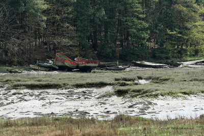 Le Bono et la rivire du Bono - MK3_9805 DxO Pbase.jpg