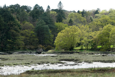 Le Bono et la rivire du Bono - MK3_9808 DxO Pbase.jpg