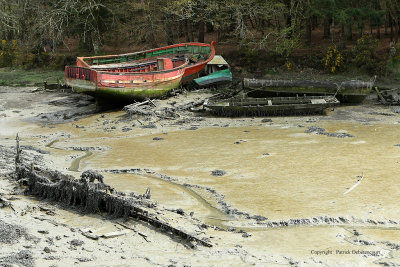 Le cimetire de bateaux de la rivire du Bono - MK3_9775 DxO Pbase.jpg