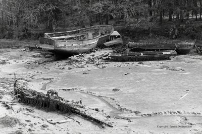 Le cimetire de bateaux de la rivire du Bono - MK3_9776 DxO Pbase.jpg