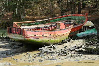 Le cimetire de bateaux de la rivire du Bono - MK3_9784 DxO Pbase.jpg