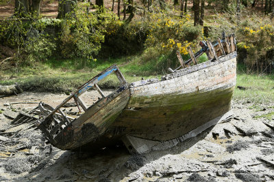 Le cimetire de bateaux de la rivire du Bono - MK3_9792 DxO Pbase.jpg